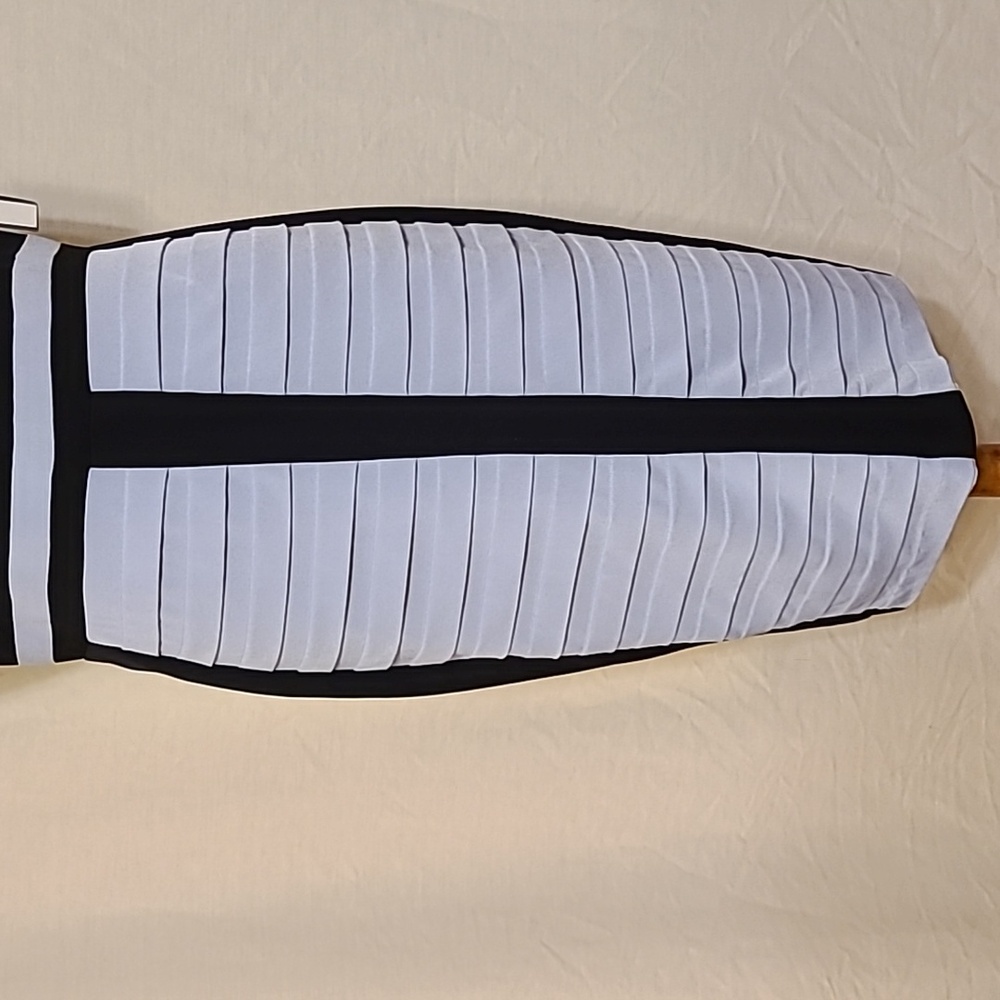 Jax Light Blue and Black Sheath Dress - Picture 8 of 15